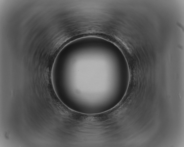 X0000091491265200708231414