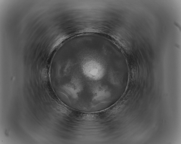 X0000091491266200708231414
