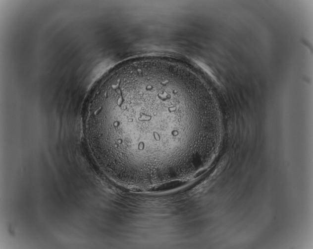 X0000091491267200708231414