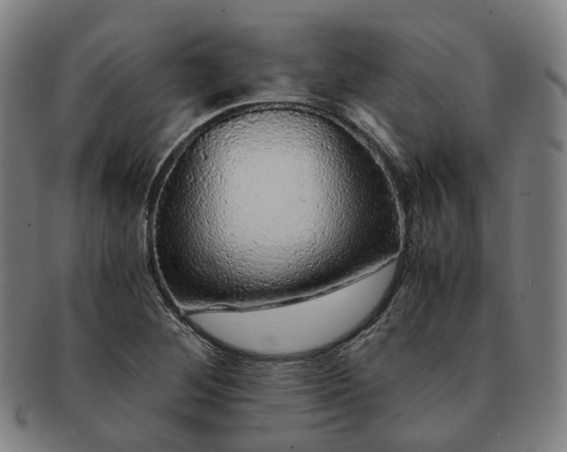 X0000091491268200708231414