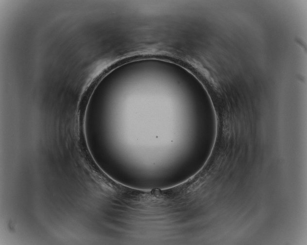 X0000091491270200708231414