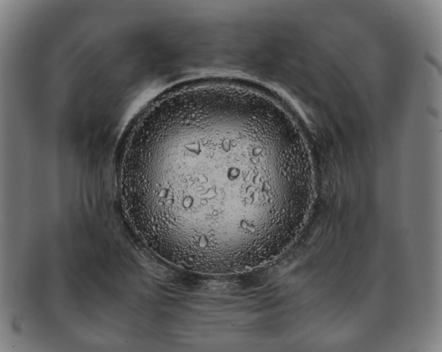X0000091491271200708231414