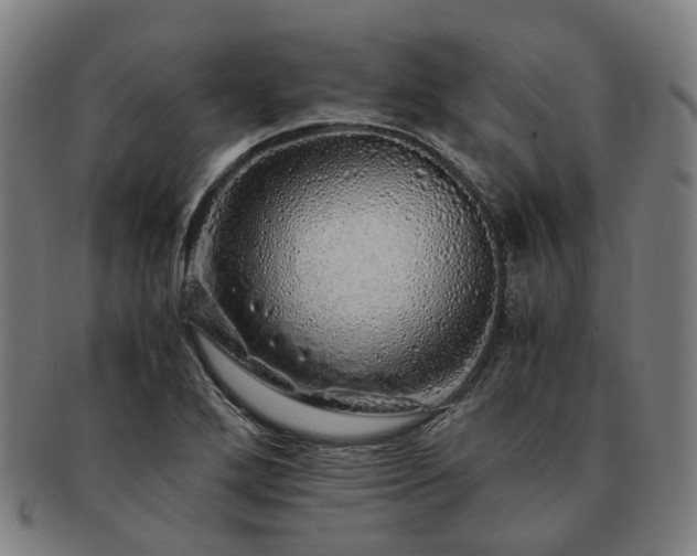 X0000091491272200708231414