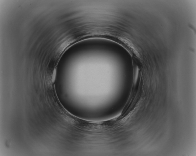 X0000091491273200708231414