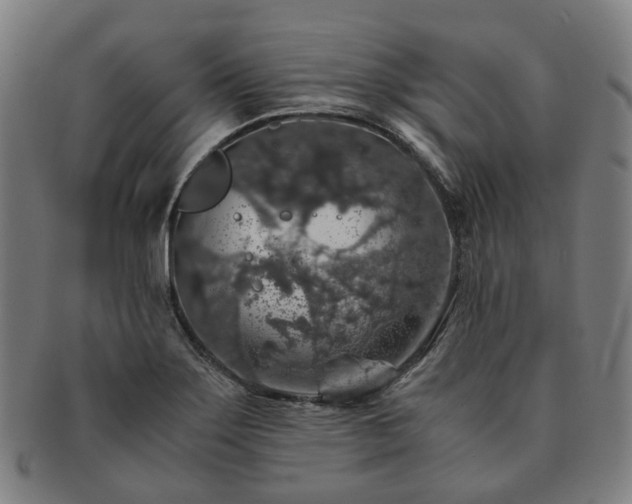 X0000091491275200708231414