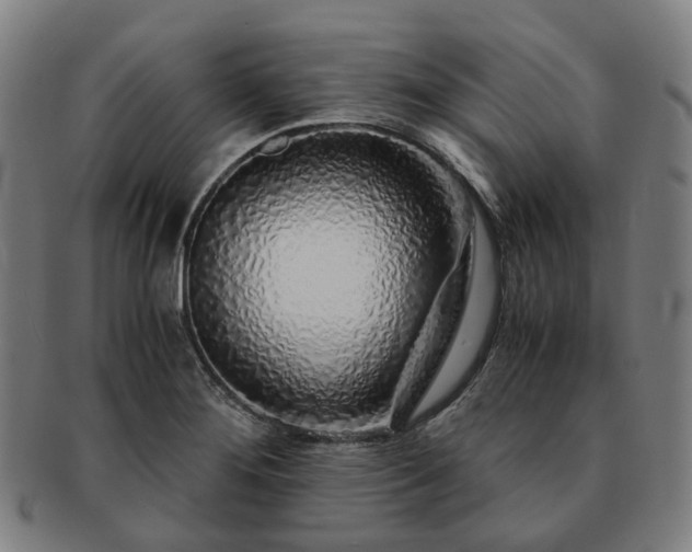 X0000091491276200708231414