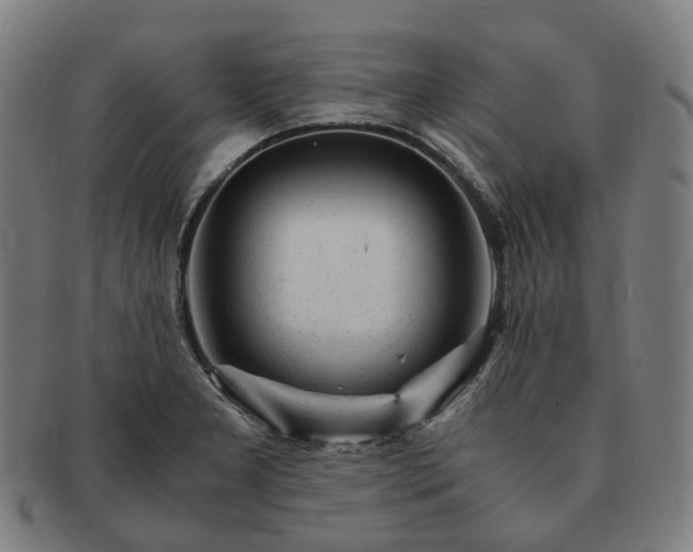 X0000091491277200708231414