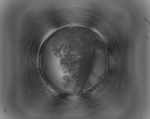 X0000091491278200708231414