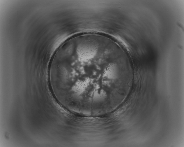X0000091491279200708231414