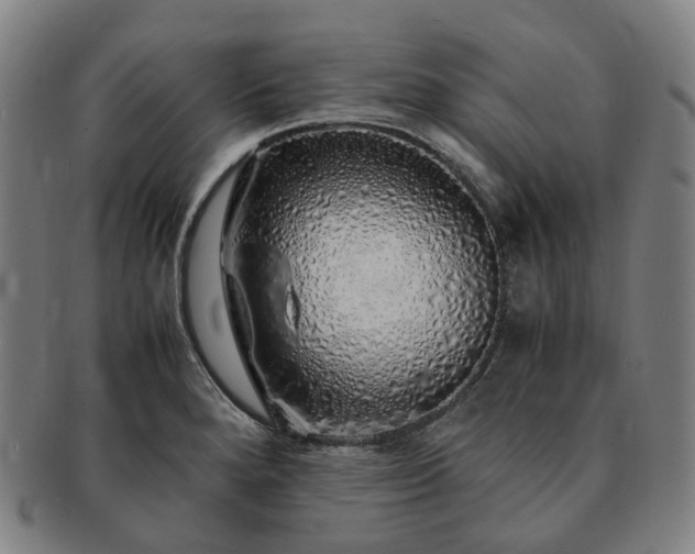 X0000091491280200708231414
