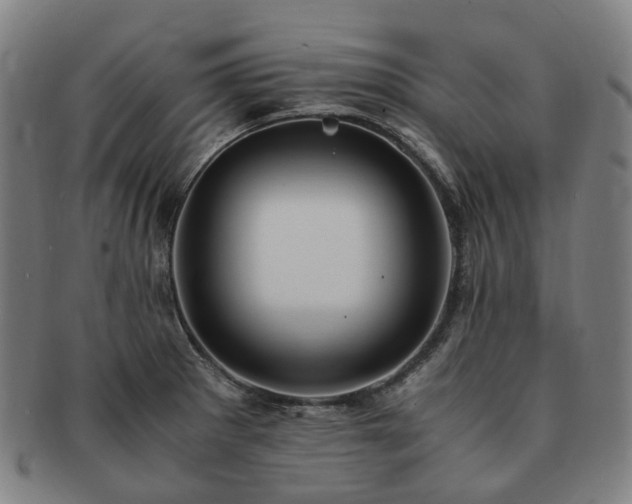 X0000091491281200708231414