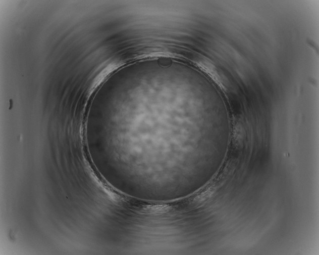 X0000091491282200708231414