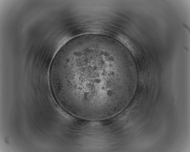 X0000091491283200708231414