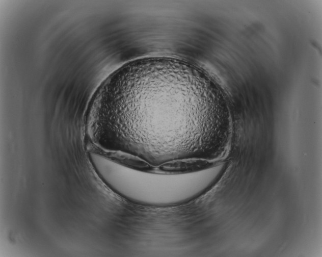 X0000091491284200708231414