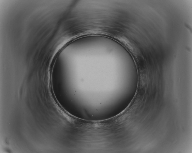 X0000091491286200708231414