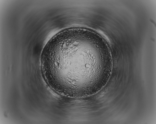 X0000091491287200708231414
