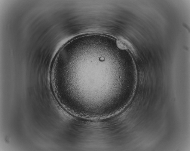 X0000091491288200708231414