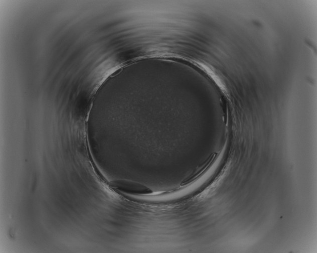 X0000091491289200708231414