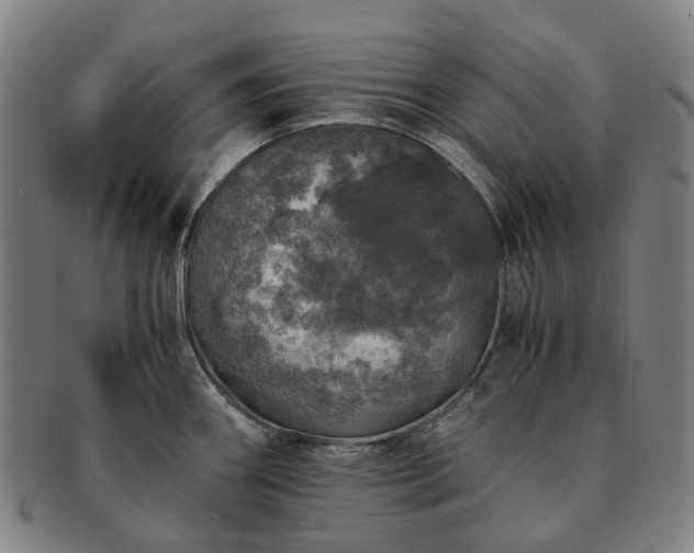 X0000091491290200708231414