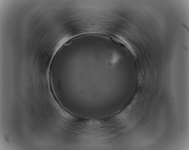 X0000091491291200708231414