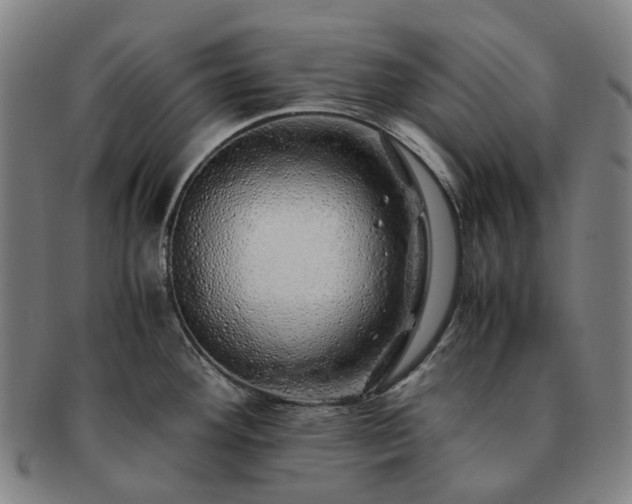 X0000091491292200708231414