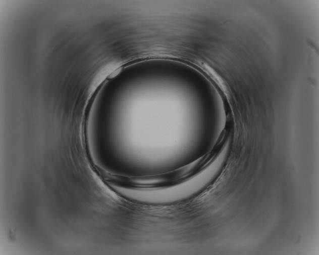 X0000091491293200708231414