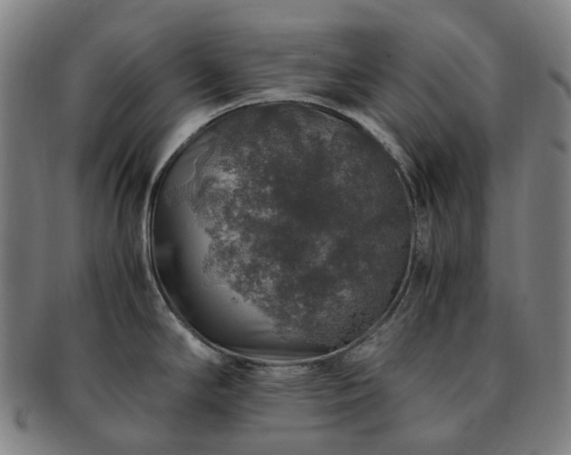 X0000091491294200708231414
