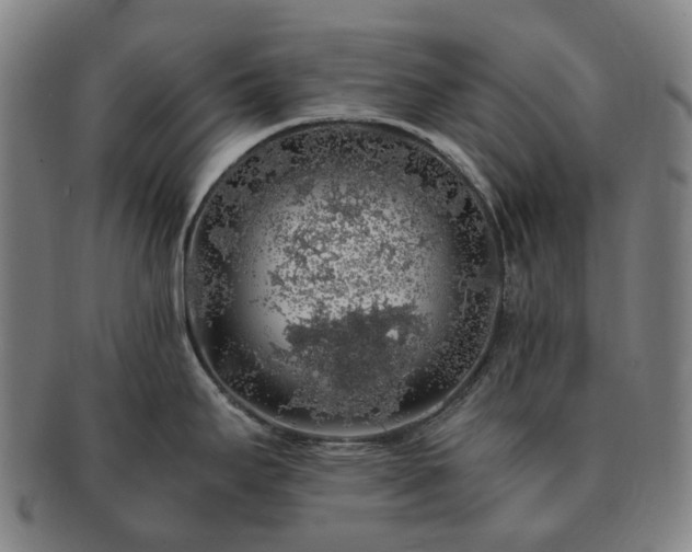 X0000091491295200708231414