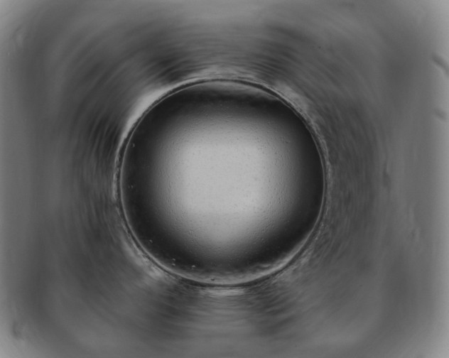 X0000091491296200708231414
