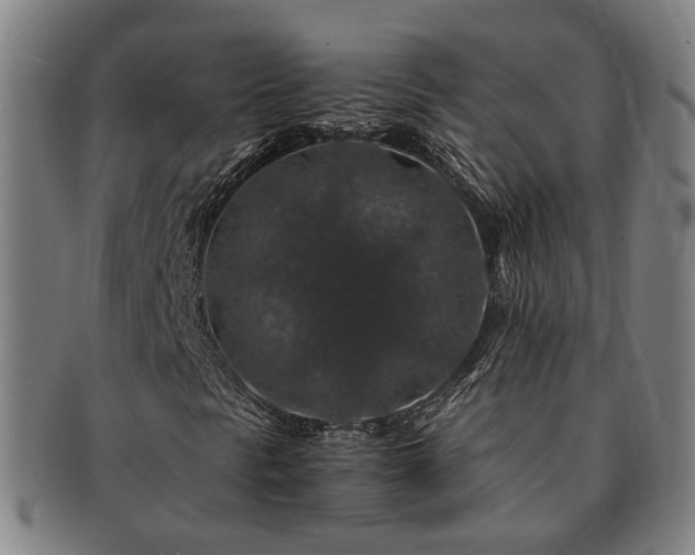 X0000091491297200708231413