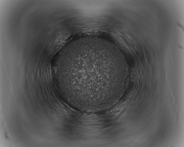 X0000091491298200708231413