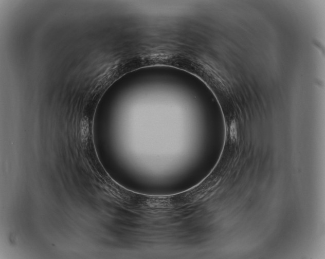 X0000091491299200708231413