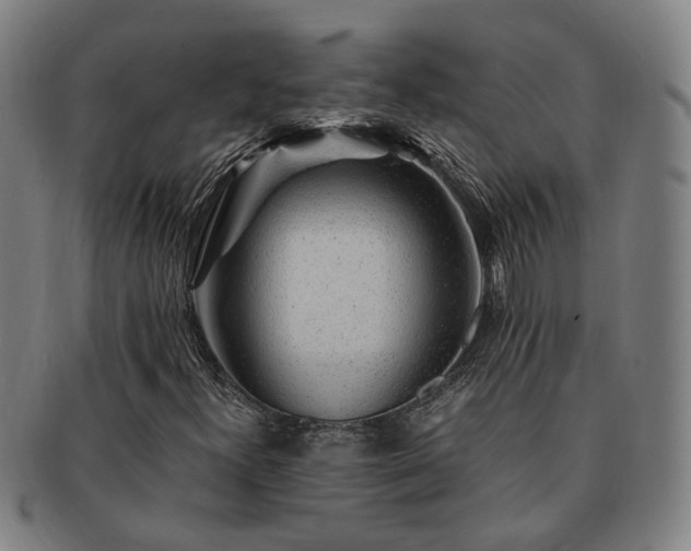 X0000091491300200708231413