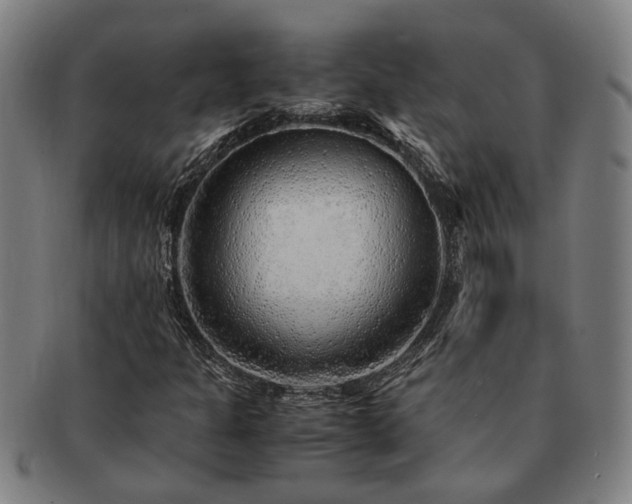 X0000091491301200708231413