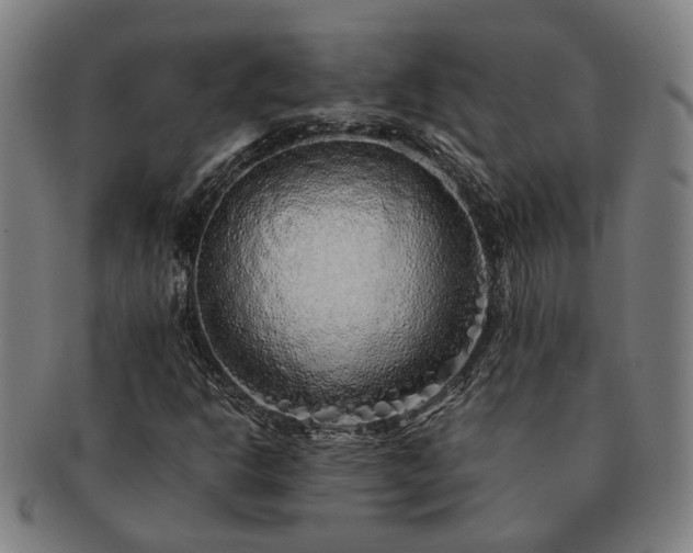 X0000091491302200708231413