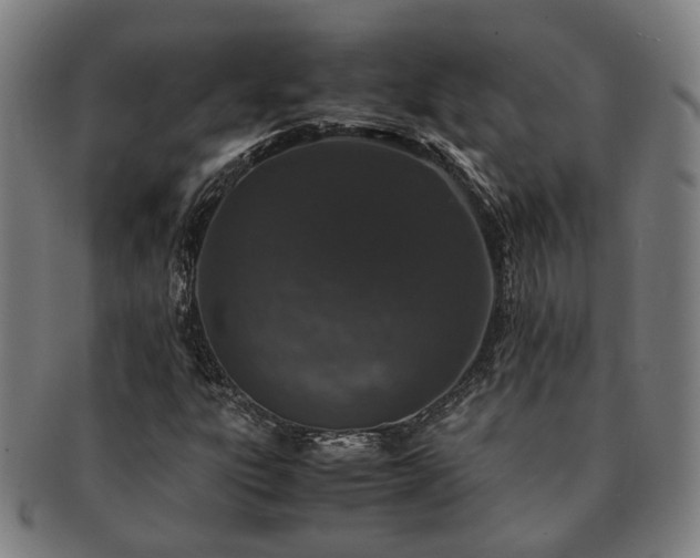 X0000091491303200708231413