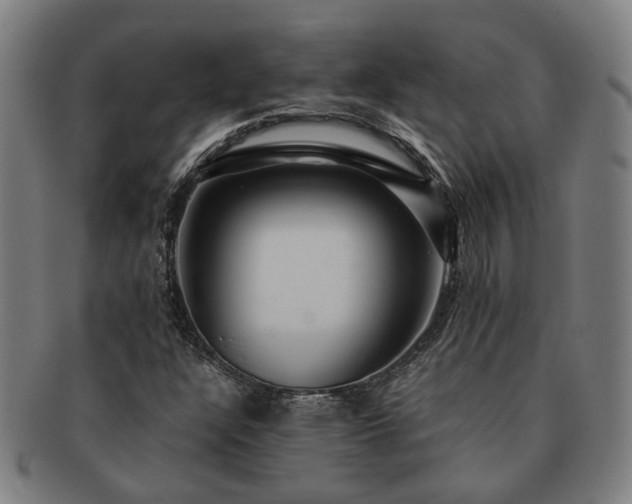 X0000091491304200708231413