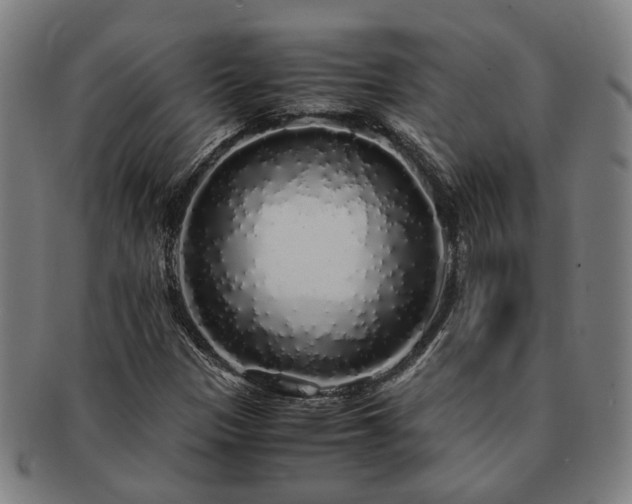 X0000091491305200708231413