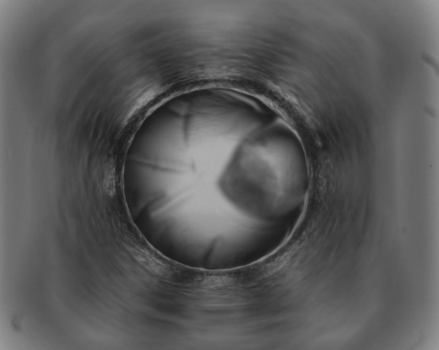 X0000091491306200708231413