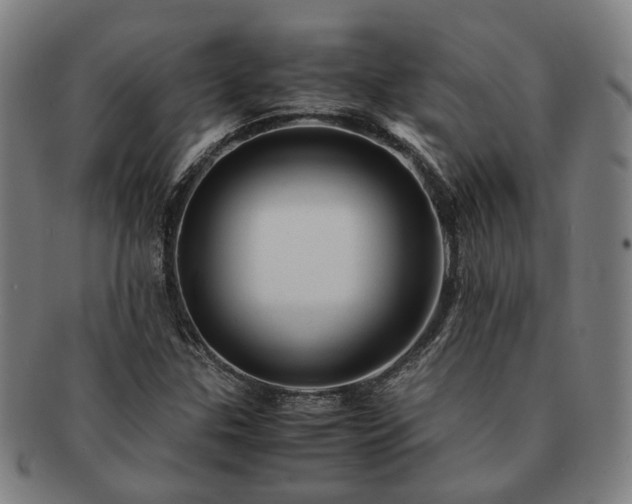 X0000091491307200708231413