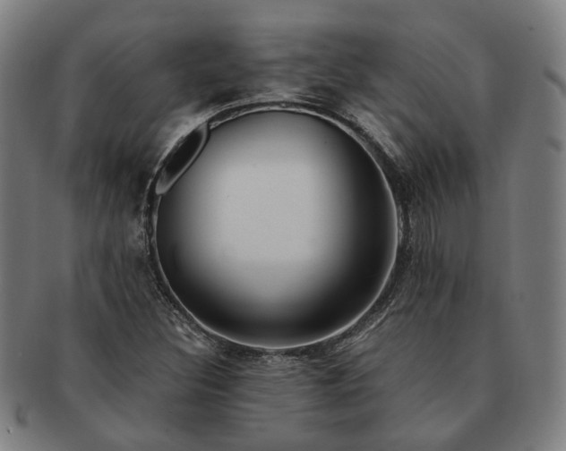 X0000091491308200708231413