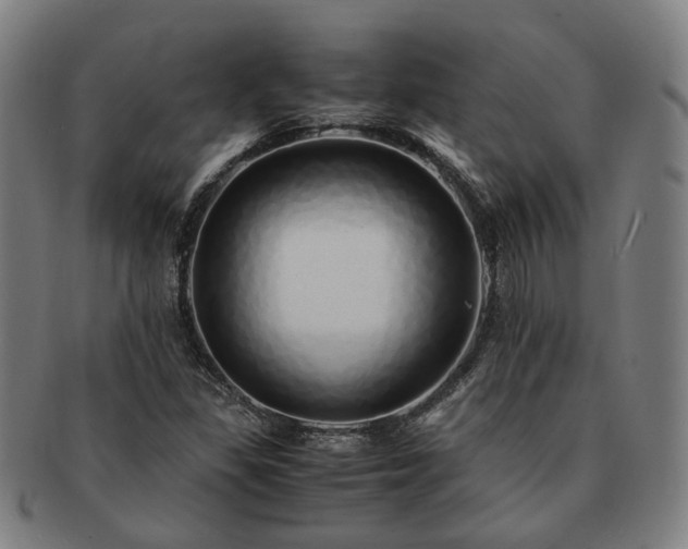 X0000091491309200708231413