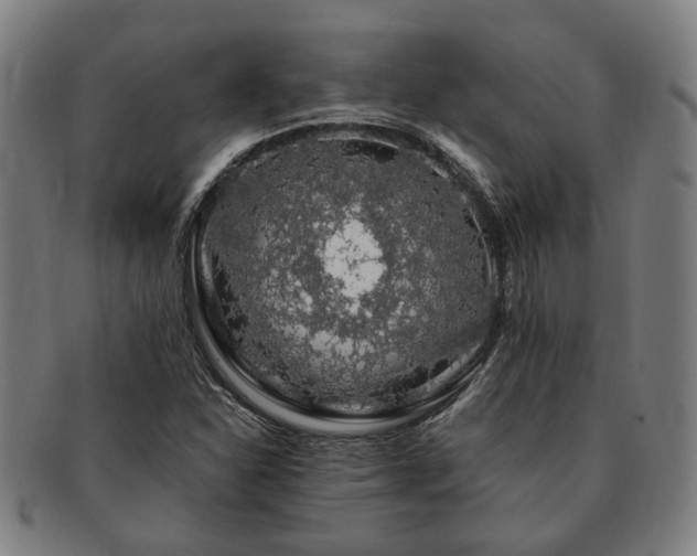 X0000091491310200708231413