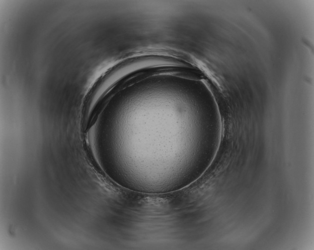 X0000091491312200708231413