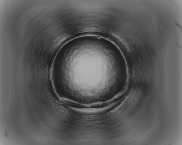 X0000091491313200708231413