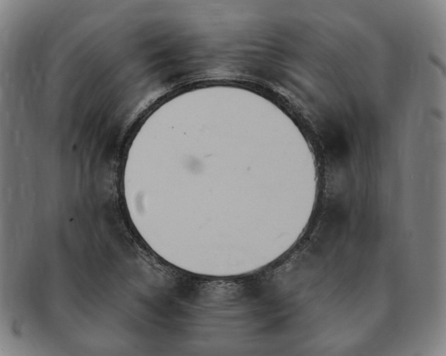 X0000091491314200708231413