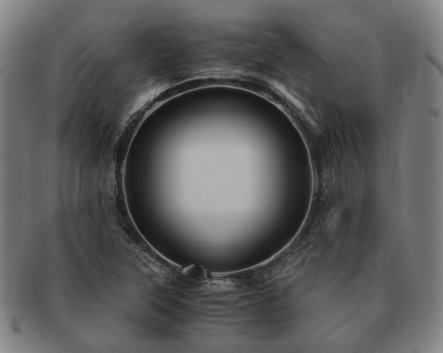 X0000091491315200708231413