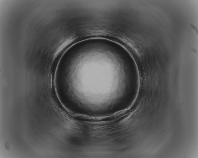 X0000091491317200708231413