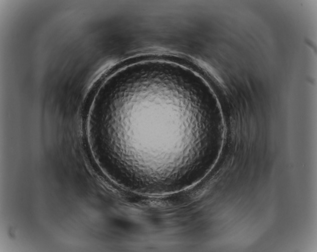 X0000091491318200708231413
