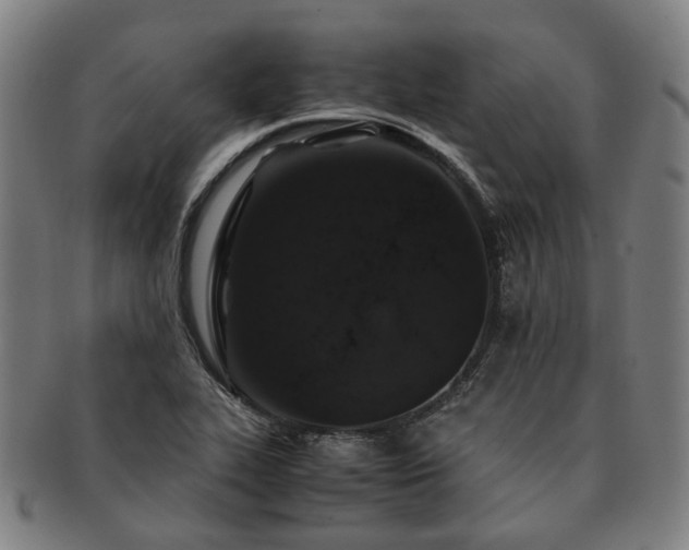 X0000091491319200708231413